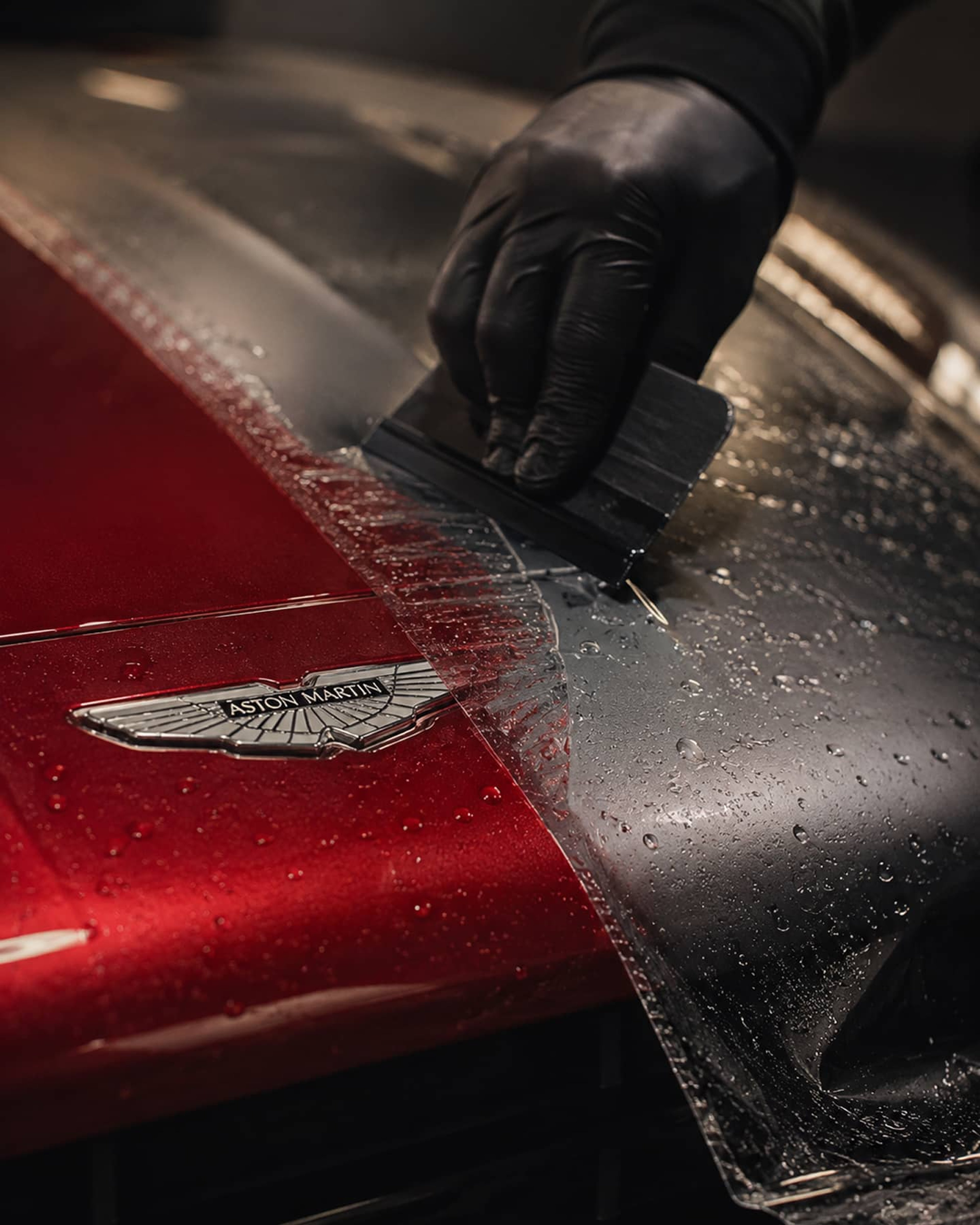 Forge Service: Wraps / PPF
